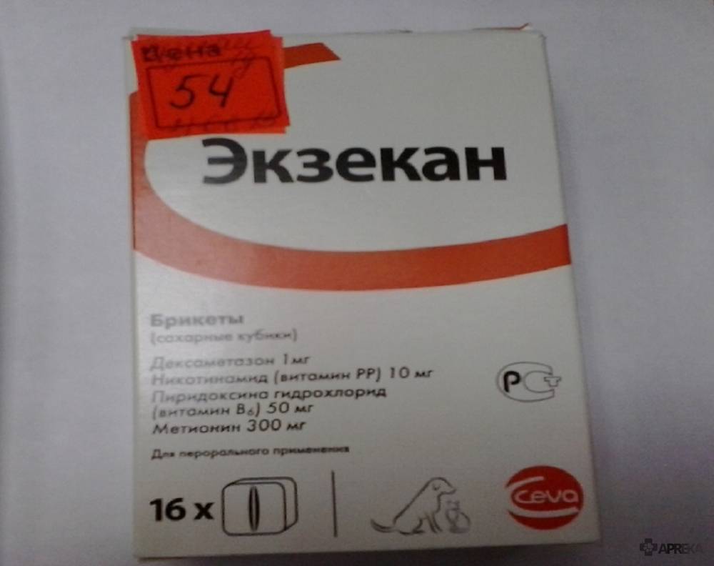 Экзекан для собак