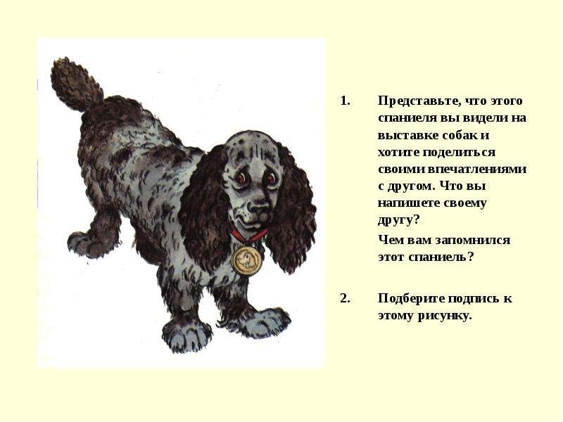 Русский спаниель