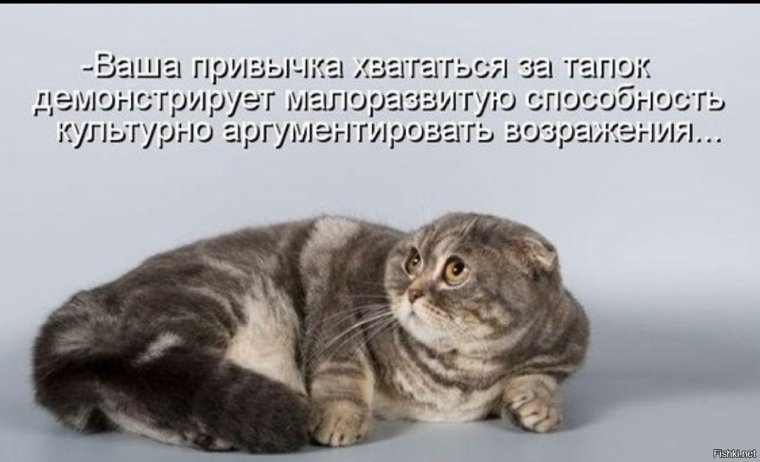 Почему моя кошка ходит за мной по пятам?