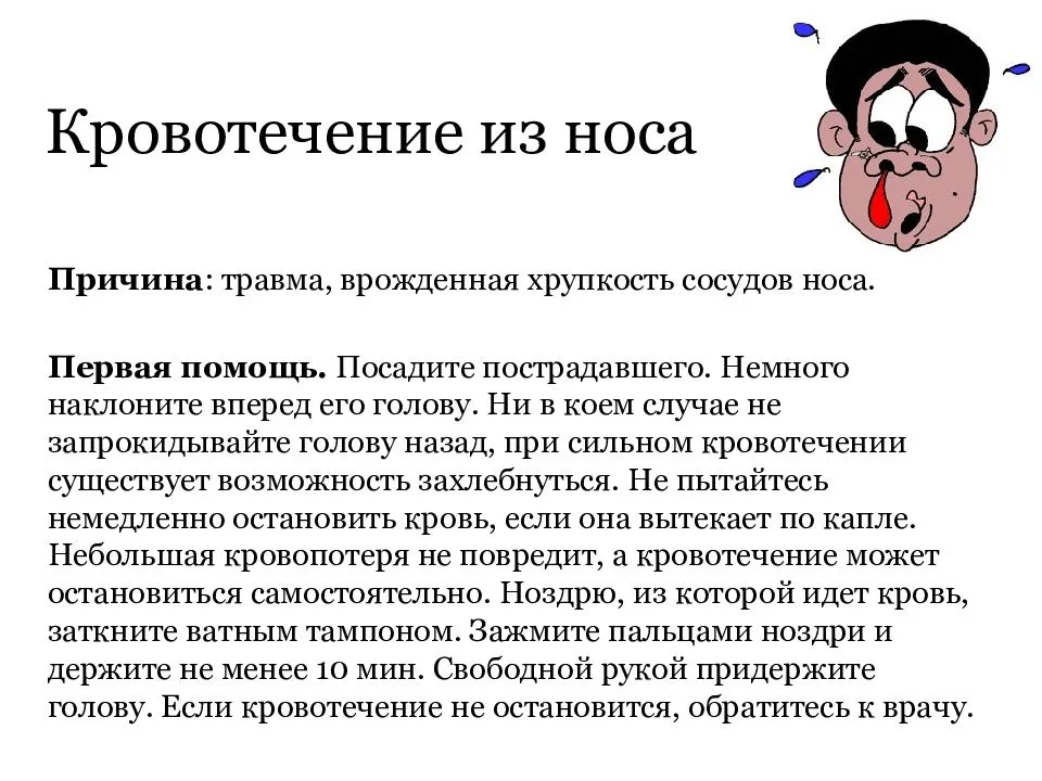 Причины носового кровотечения у кота: диагностика, признаки и лечение