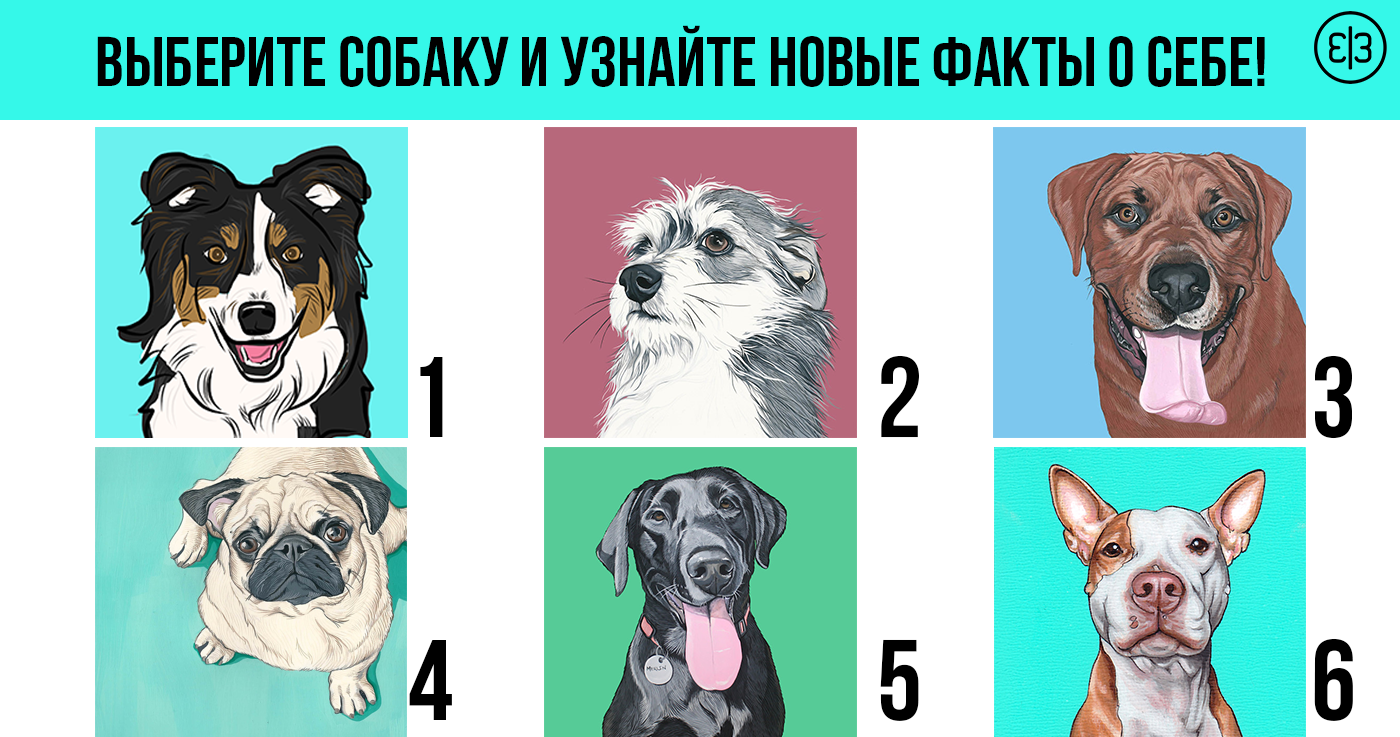 Как выбрать породу собаки по знаку зодиака
