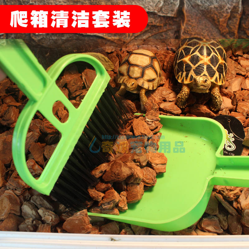 Поилка для черепахи, какой вариант лучше всего выбрать?