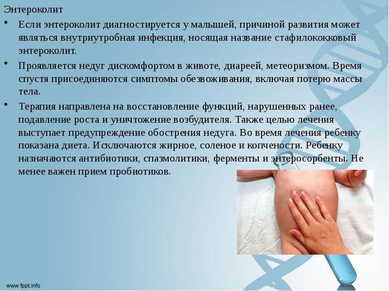 Энтероколит у собаки: симптомы, лечение в домашних условиях, диета | звери дома