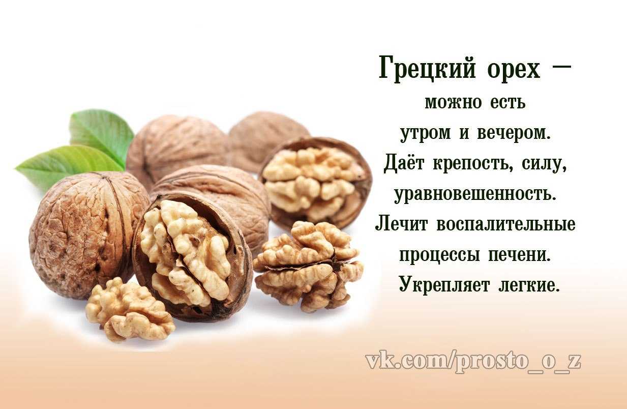 Чем можно кормить декоративного кролика в домашних условиях