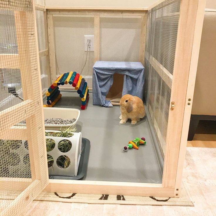 Домик для кролика своими руками в домашних условиях