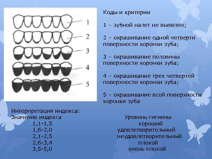 Как определить возраст собаки: основные методы и рекомендации с видео