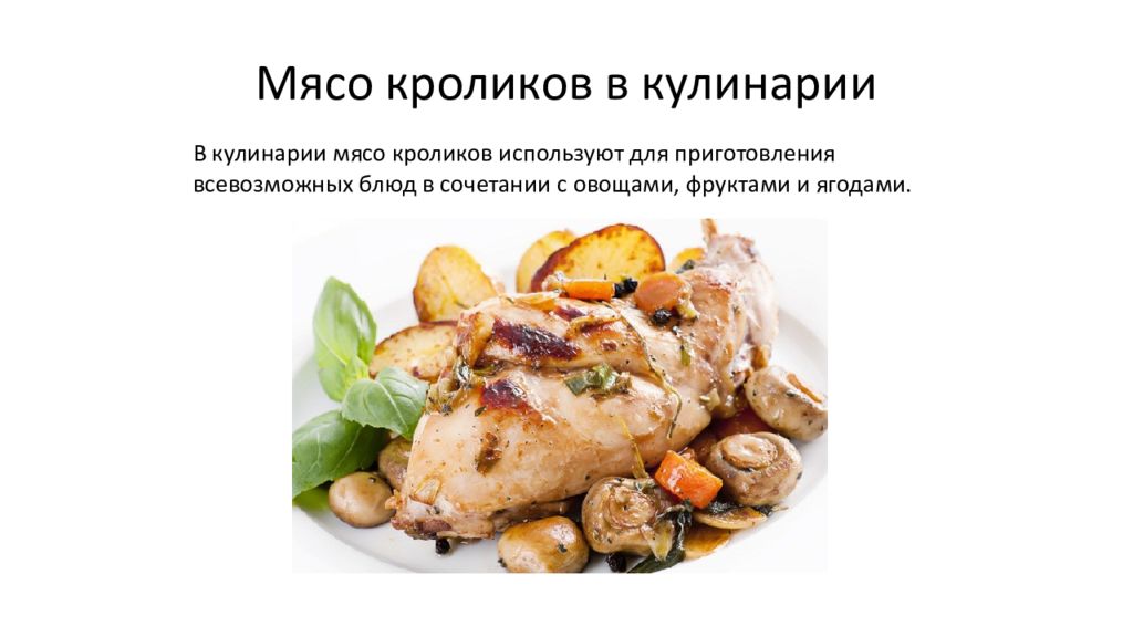 Мясо кролика: польза и вред для организма, состав, правила выбора
