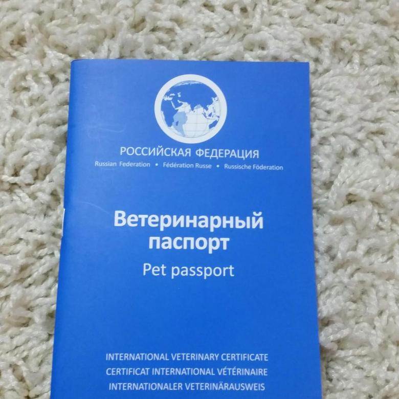 Образец ветеринарного международного паспорта