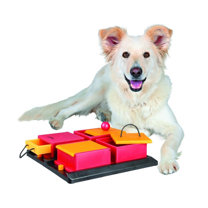 Как выбрать безопасные игрушки для щенков | dogkind.ru