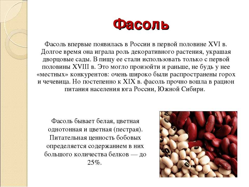 Чем кормить декоративного кролика в домашних условиях | «твой кролик»