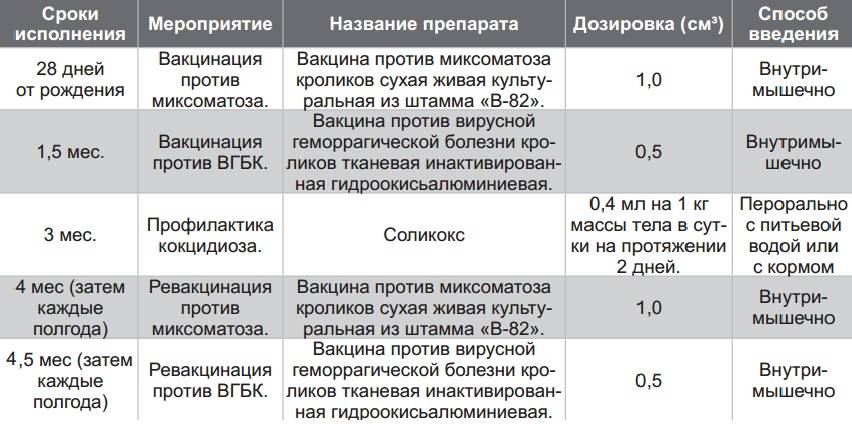 Корь: причины, симптомы, диагностика и лечение. вакцинация против кори.