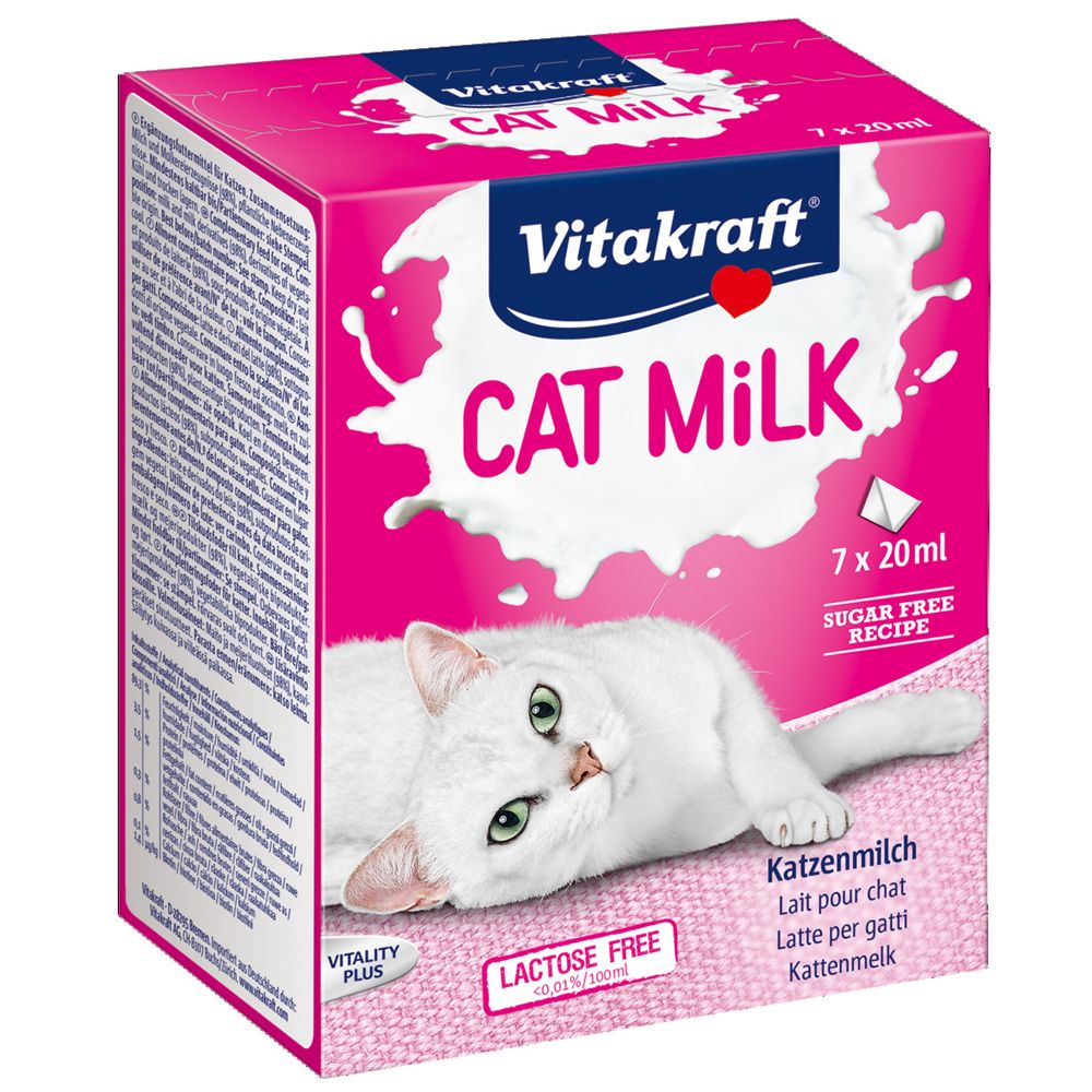 Чем кормить котят, если у кошки нет молока | ваши питомцы