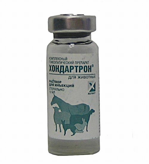 Хондартрон для собак подарит здоровье суставам