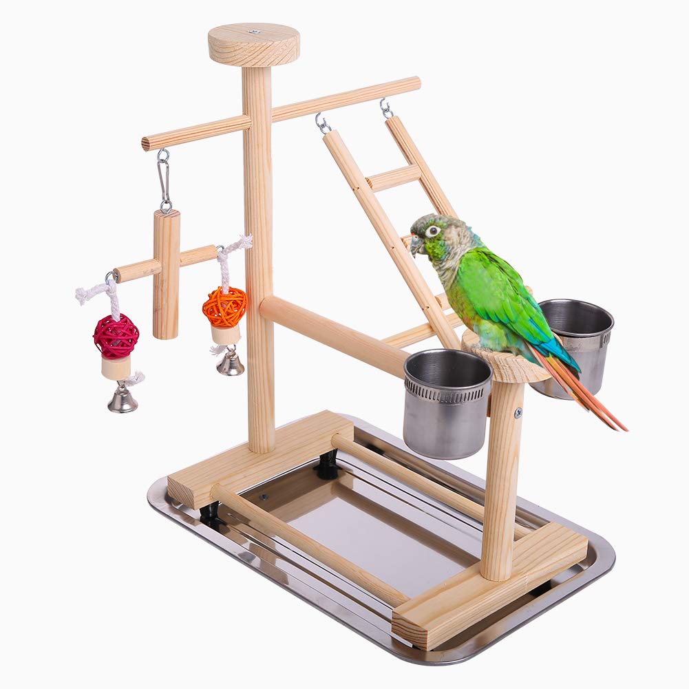 Игровой стенд для попугая, как сделать стенд своими руками