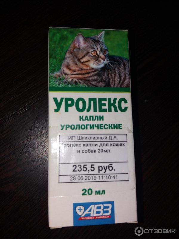 Уролекс для кошек — подробная инструкция по применению и советы как применить урологические капли для кошек (80 фото)
