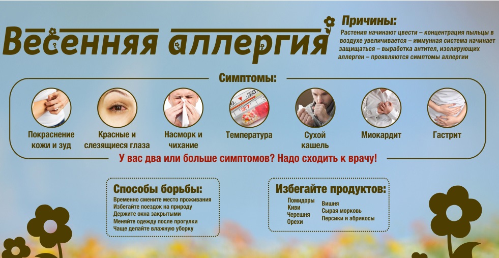 7 симптомов аллергии на кошек - признаки и лечение