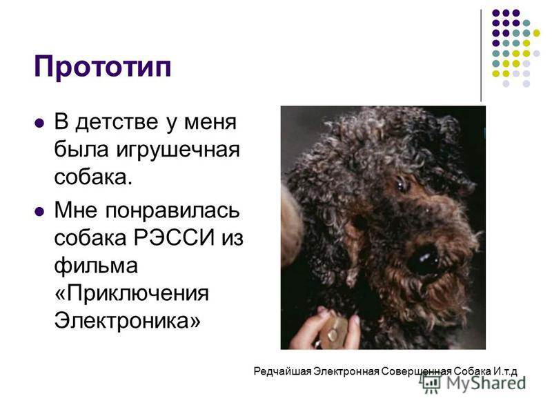 Полицейские сша используют собак для поиска спрятанных цифровых носителей информации / хабр