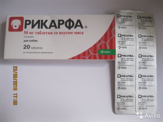 Насколько эффективен препарат для собак рикарфа и как его правильно использовать?