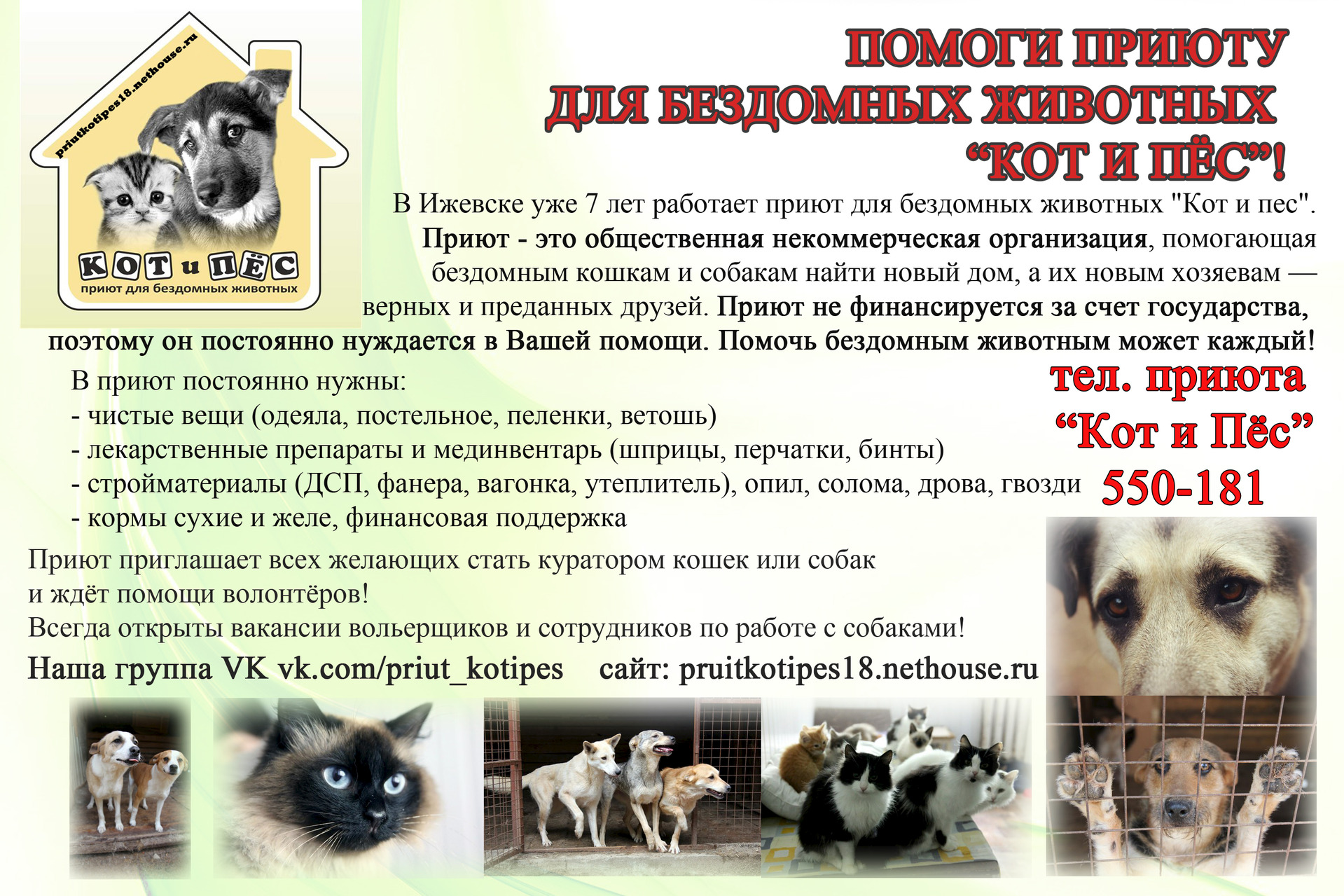 Собака из приюта: плюсы и минусы