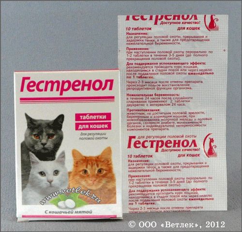 Таблетки и лекарства для кошек от поноса: список всех возможных лекарственных средств и их дозировка | звери дома