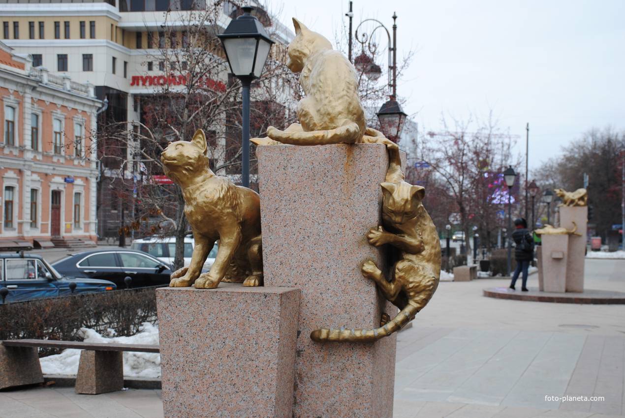 Сквер сибирских кошек в Тюмени