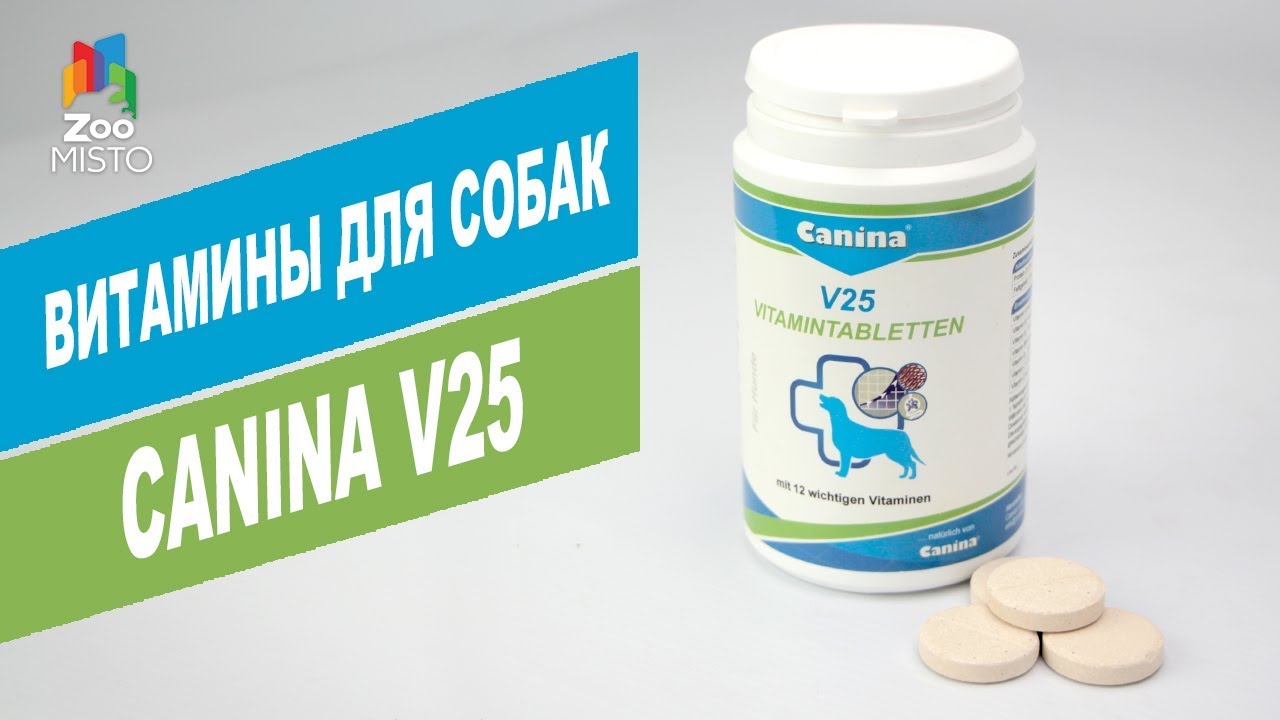 Витамины для собак canina