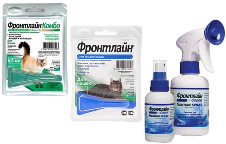 Фронтлайн для кошек и котов