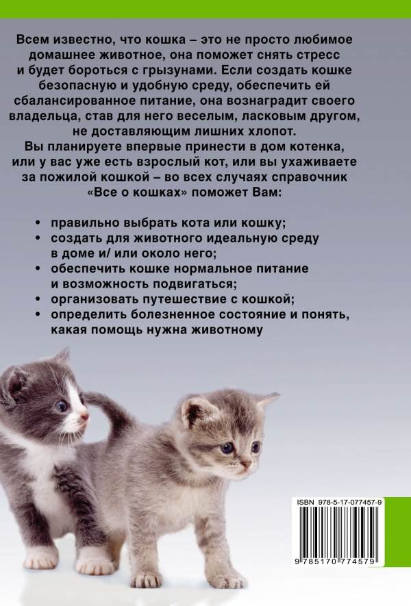 Лучшие породы кошек: как выбрать породу будущего питомца под свой характер и тип жилья