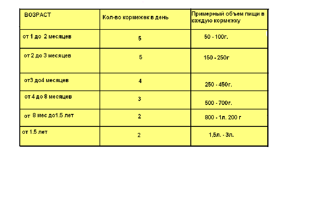 Через какое время собака. Сколько раз кормить щенка в 3 месяца. График кормления щенка. Кормление щенка по часам таблица. Сколько раз в день нужно гулять с щенком.