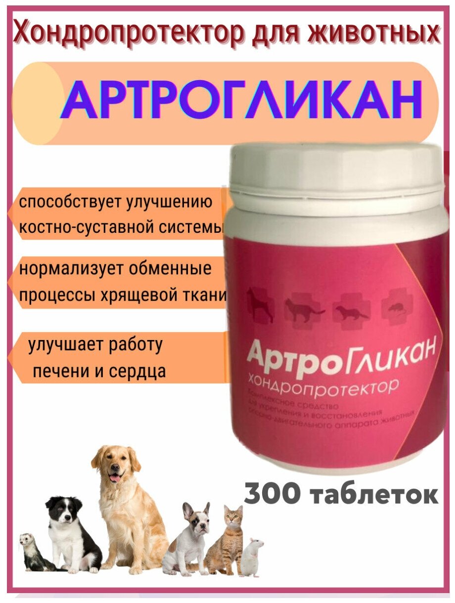 5 наиболее популярных хондропротекторов при артрозе