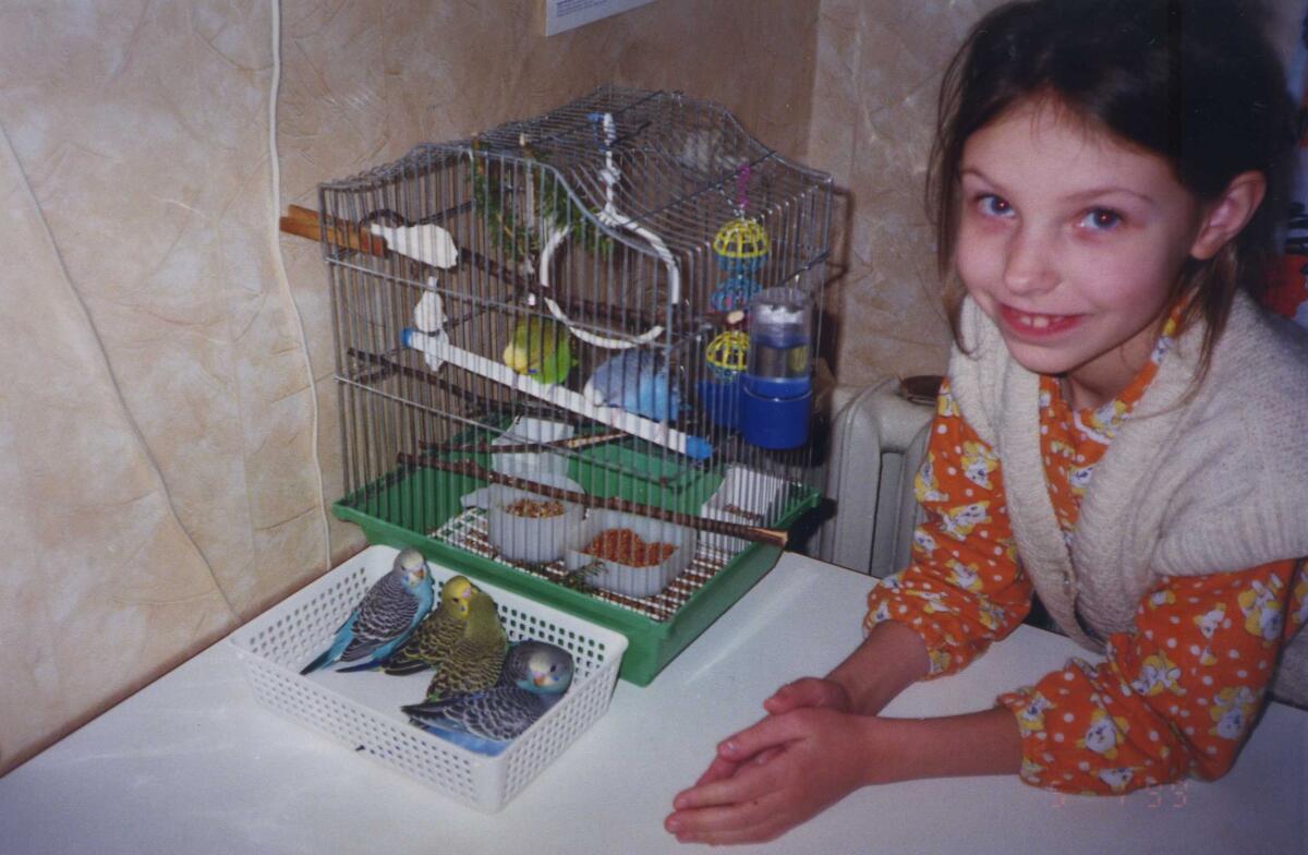 Успешное разведение (размножение) волнистых попугаев в домашних условиях