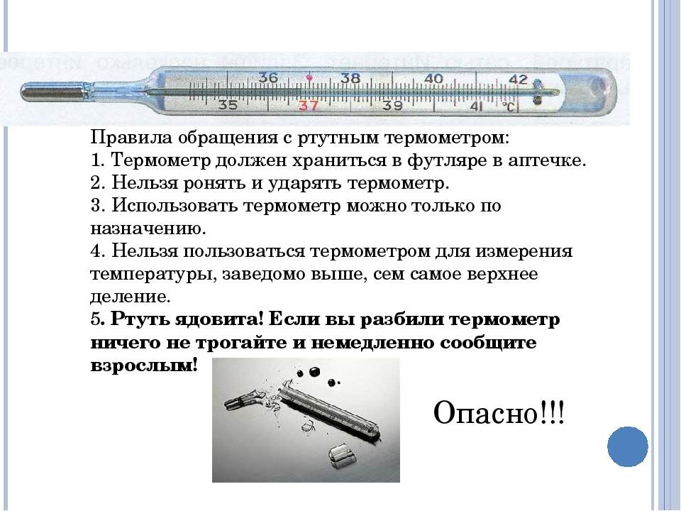 Как померить температуру собаке