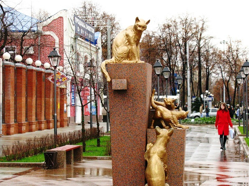 Сквер сибирских кошек - уютный памятник хвостатым героям