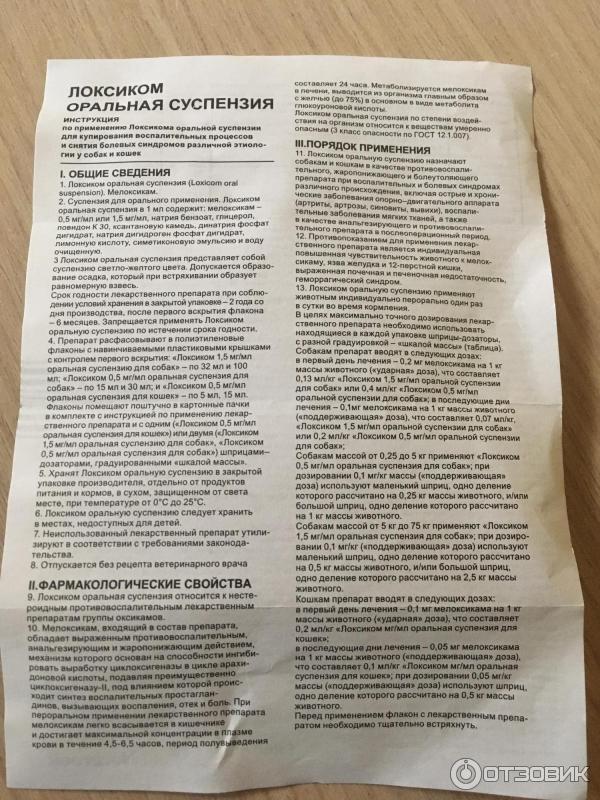 Локсиком для кошек: описание препарата, противопоказания, аналоги