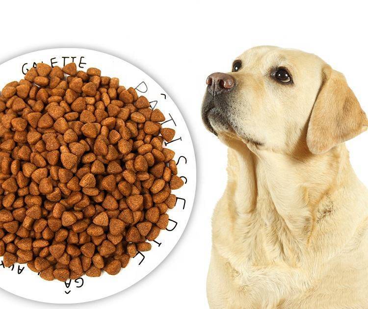 Собака перестала есть сухой корм (плохо ест), что делать?