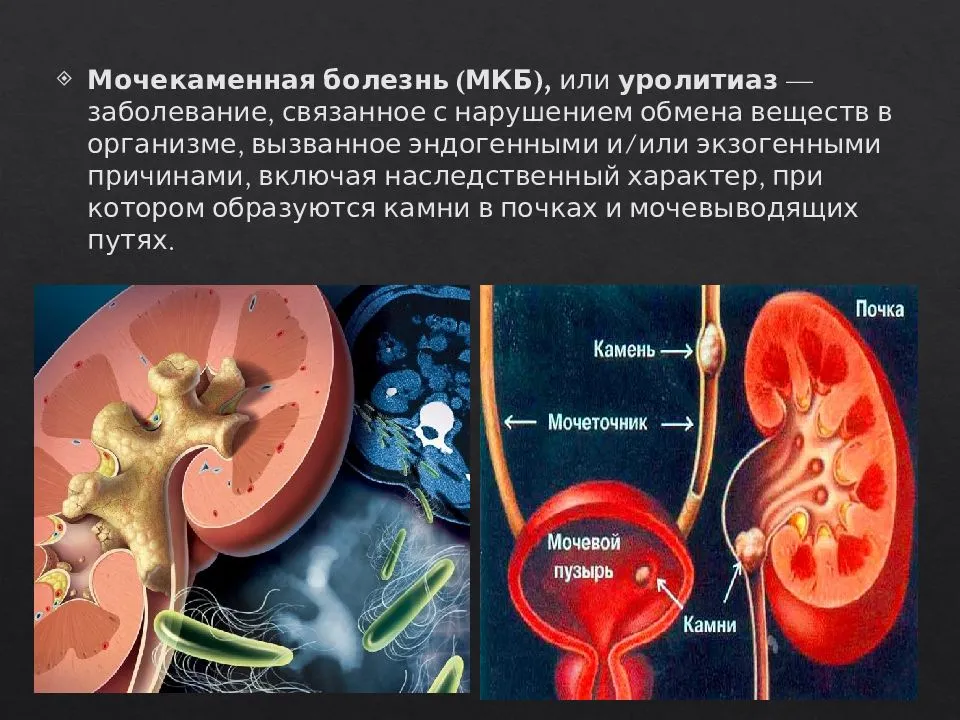 Мочекаменная болезнь у собак - симптомы и лечение препаратами, операция уретростомия, профилактика