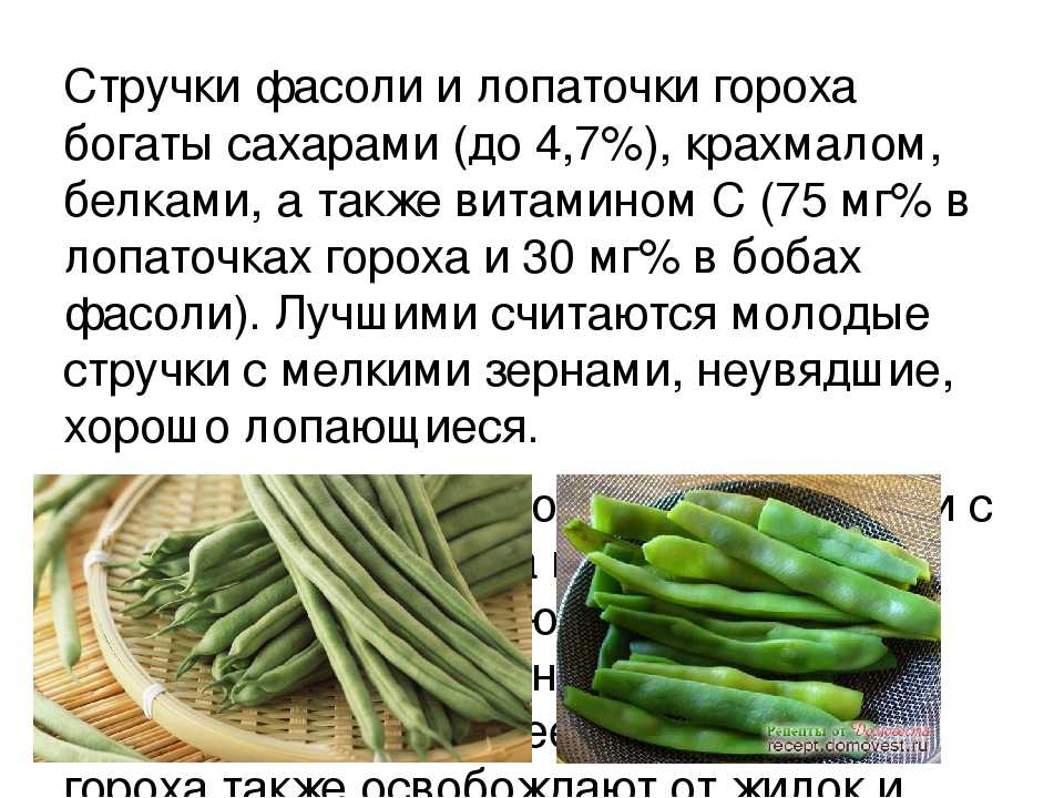 Вопрос: можно ли давать кроликам фасоль и ботву фасоли в каком количестве? - растения | studok.net