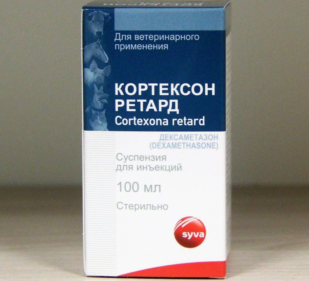 Дексаметазона собаке в виде таблеток, инъекций, ушных и глазных капель