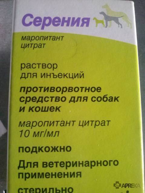 Анестезиология