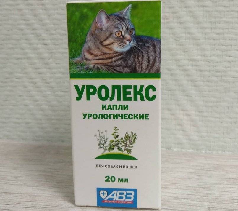 Уролекс для кошек: инструкция по применению, противопоказания к использованию