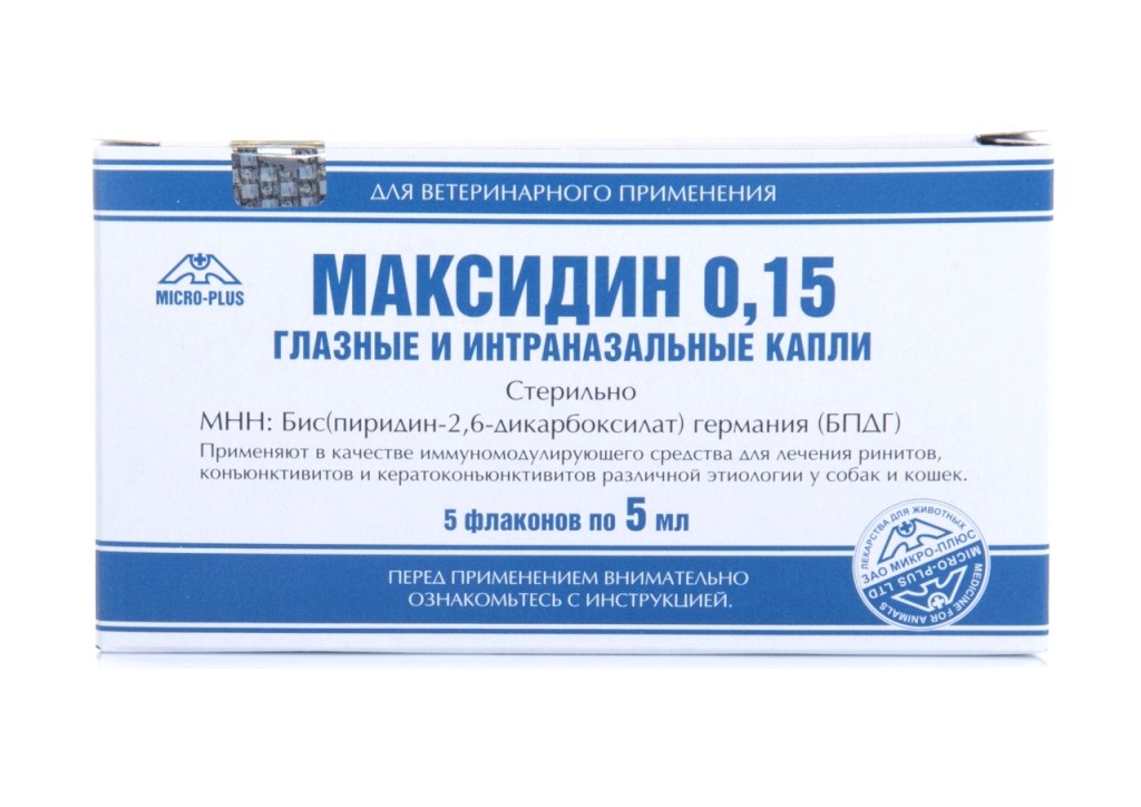 Максидин: особенности препарата для лечения кошек