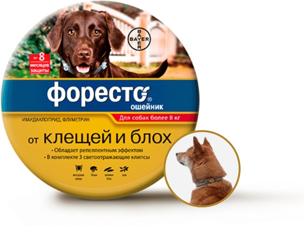 Ошейники для собак от блох и клещей: виды, рейтинг лучших
