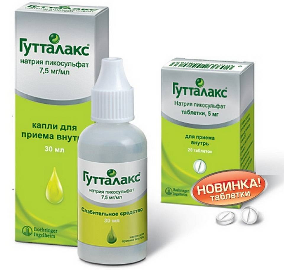 Запор у кошек: как помочь животному и когда стоит обратиться к ветеринару