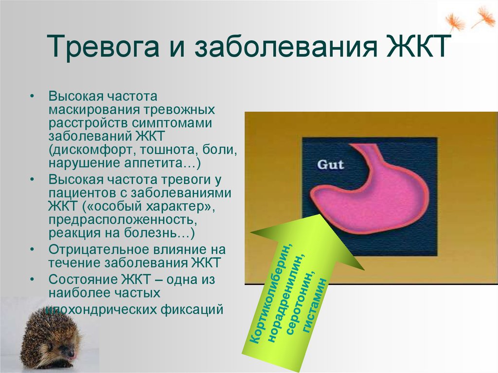 Диагностика заболеваний желудка