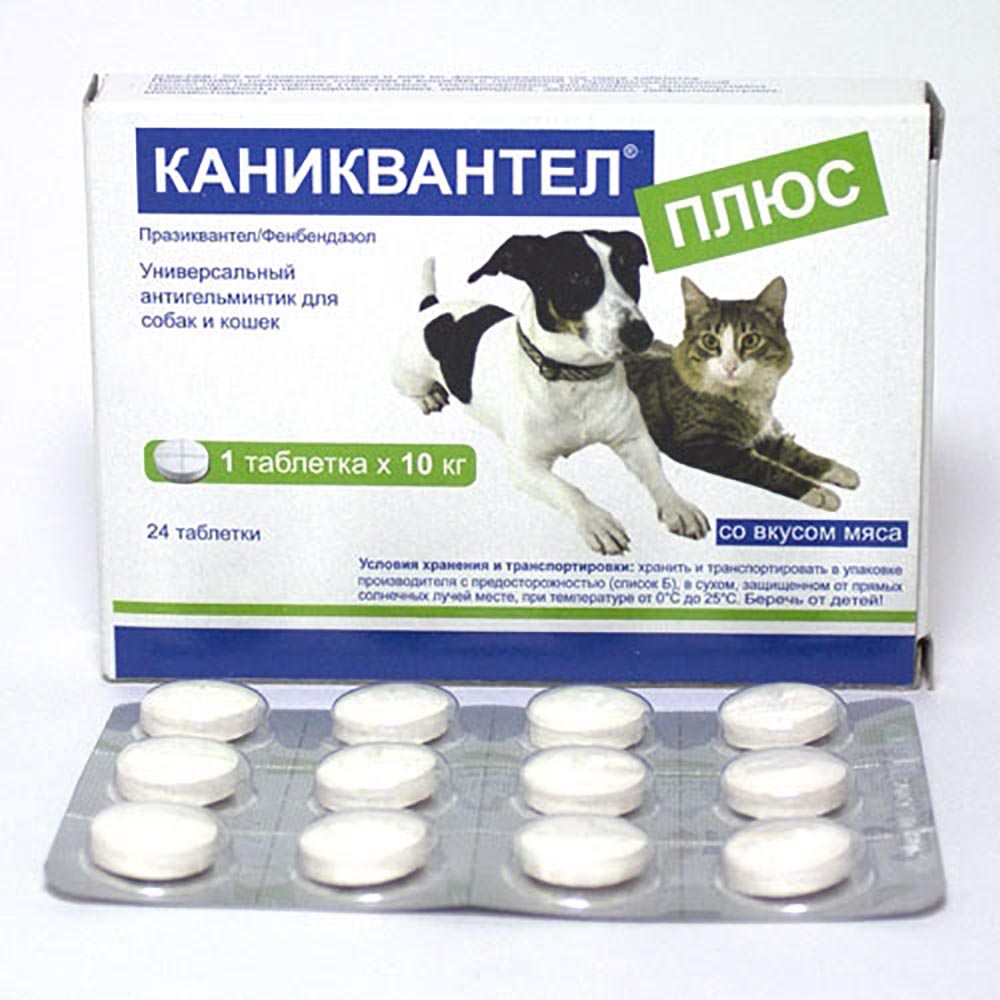 Каниквантел плюс для кошек: инструкция по применению, показания и противопоказания, аналоги, отзывы