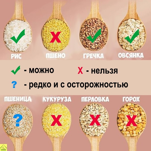 Какие крупы можно и нельзя давать собакам