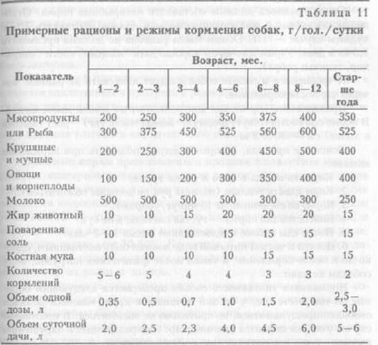 Корм для беременной собаки: 95 фото и видео советы, как и чем кормить беременную собаку
