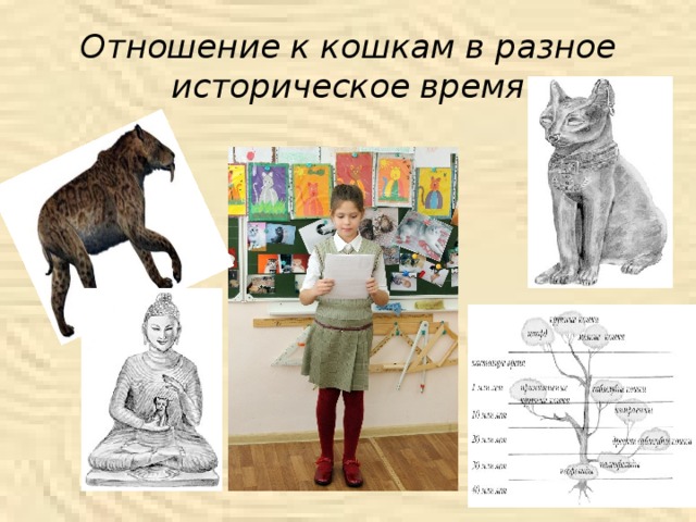 История кошек - происхождение и одомашнивание кошек, кошки в истории египта, россии, англии, японии, китае, востока, происхождение пород, всемирный день кошек - всё о кошках и котах
