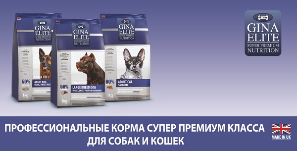 Обзор корма для кошек gina elite