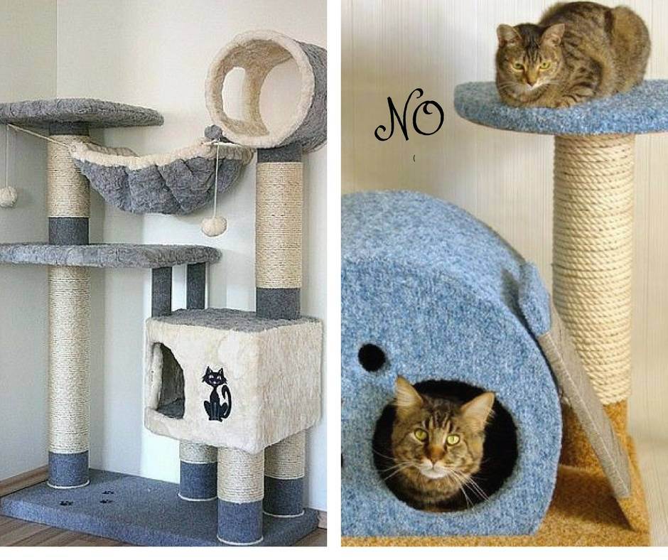 Домики для кошек: все тонкости правильного выбора